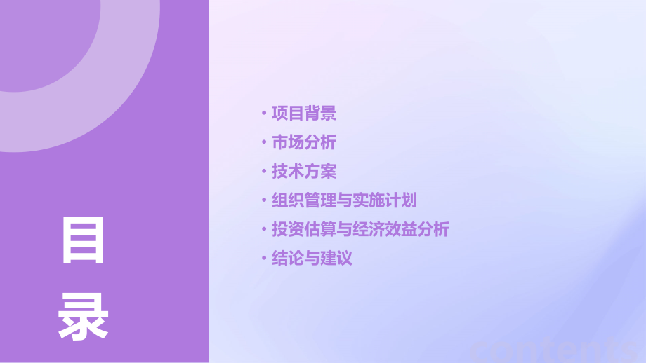 衡水编写可行性报告.pptx_第2页