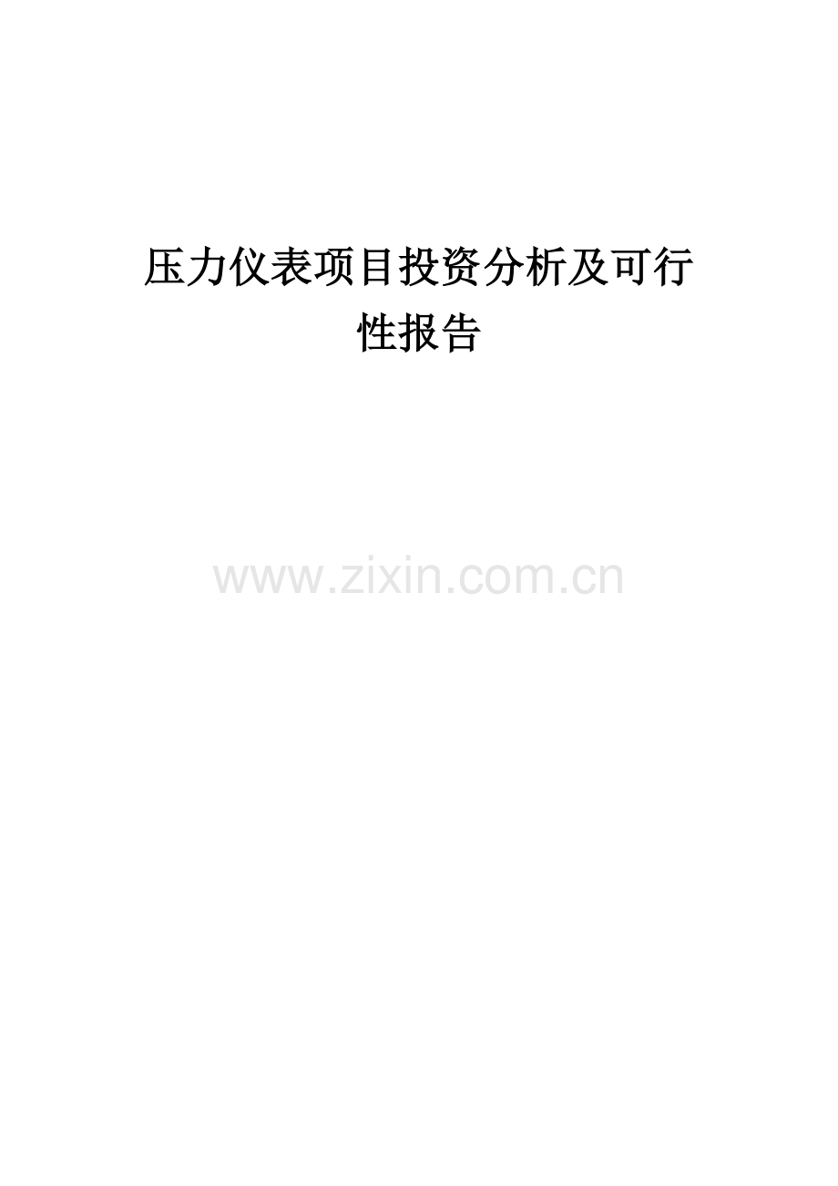 压力仪表项目投资分析及可行性报告.docx_第1页