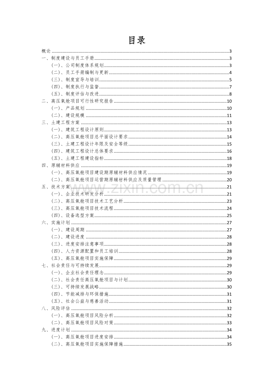 高压氧舱项目可行性分析报告.docx_第2页