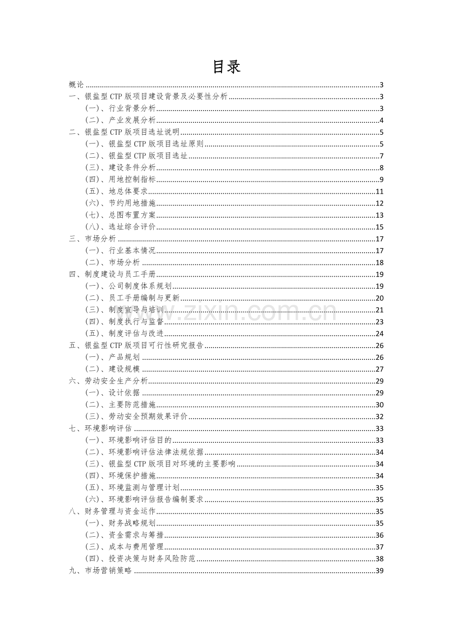 银盐型CTP版项目可行性研究报告.docx_第2页
