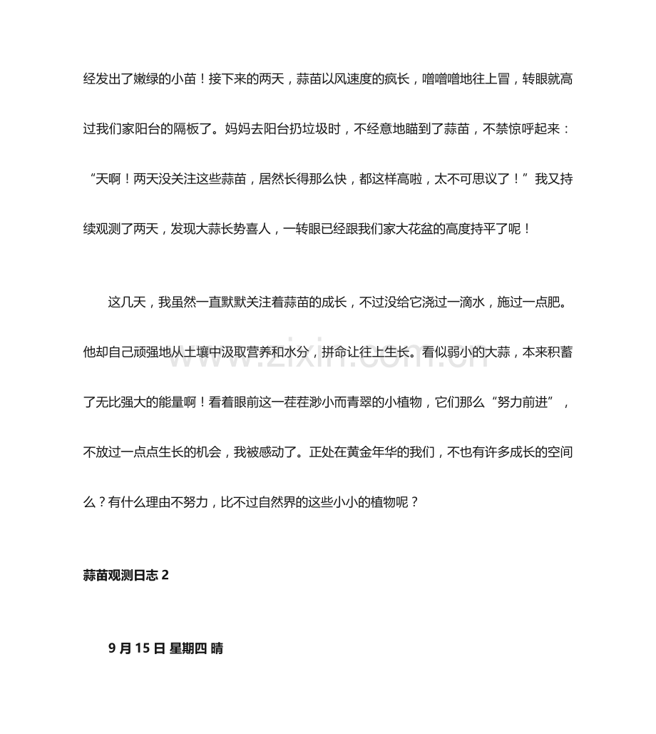 蒜苗观察日记.docx_第2页