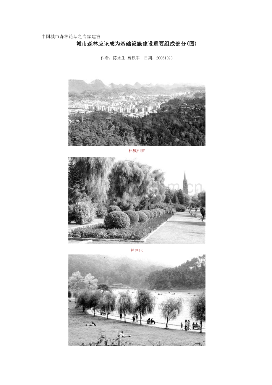 中国城市森林之专家建言.doc_第1页