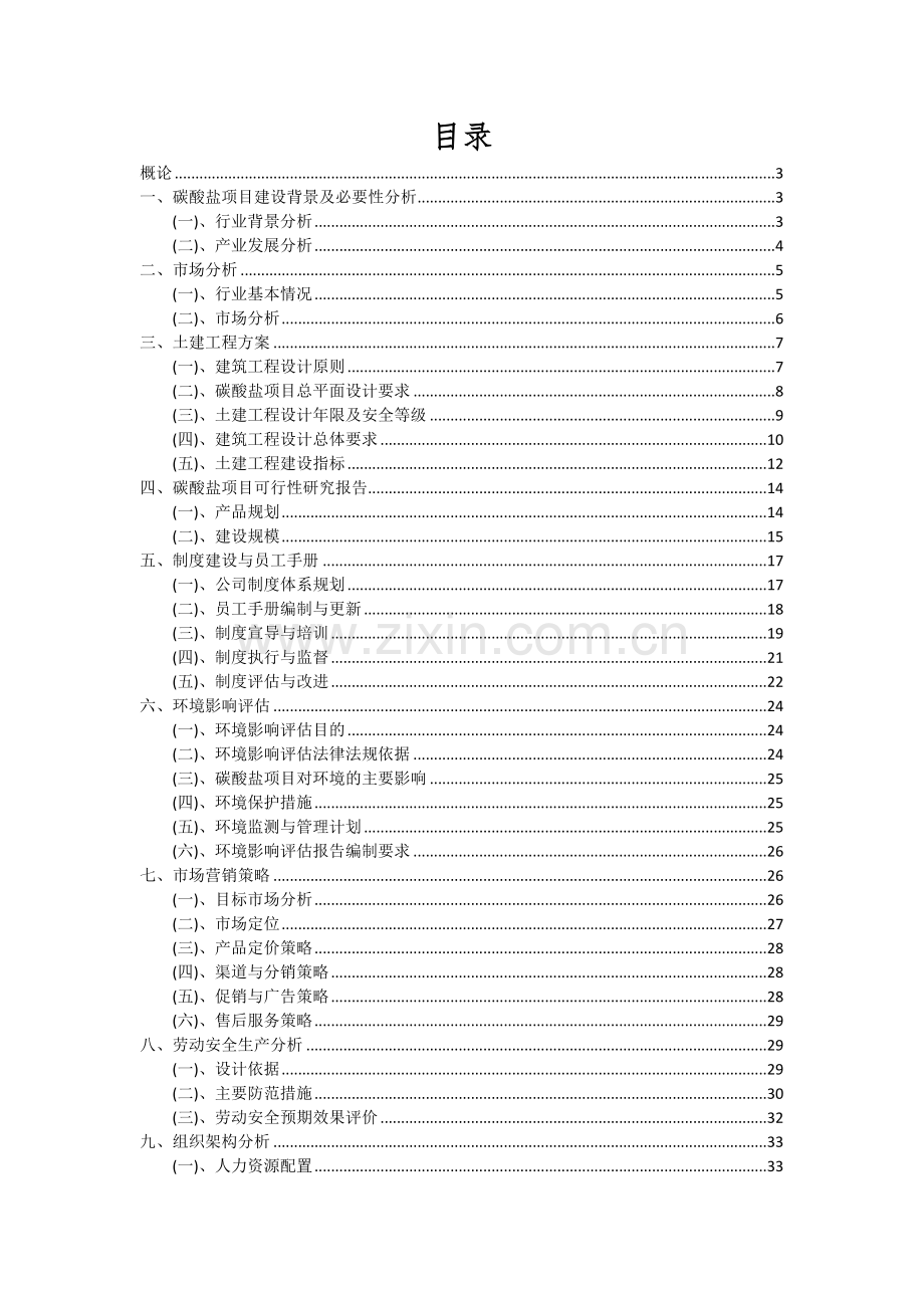 碳酸盐项目可行性分析报告.docx_第2页