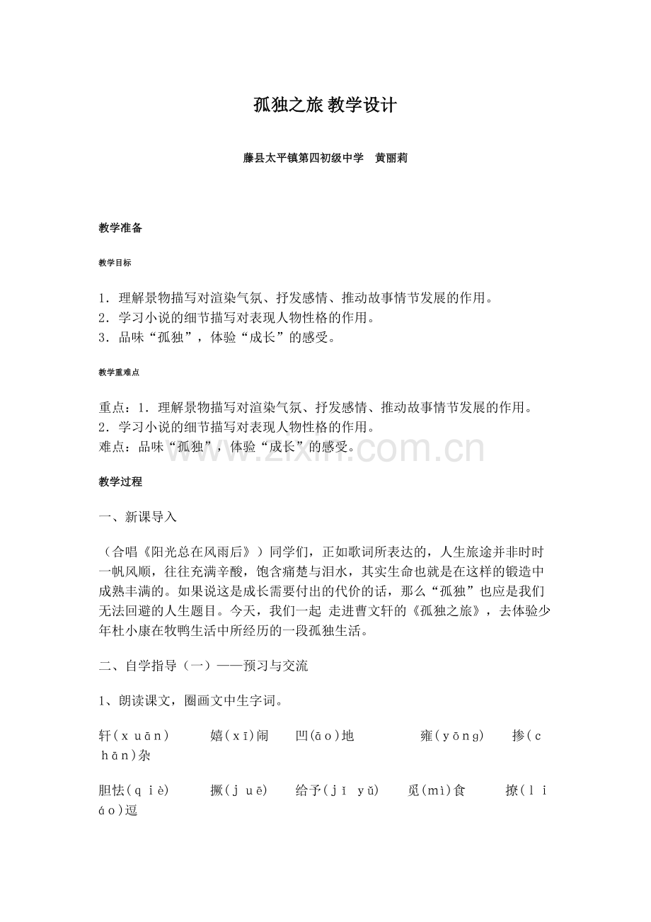 孤独之旅-教学设计.doc_第1页