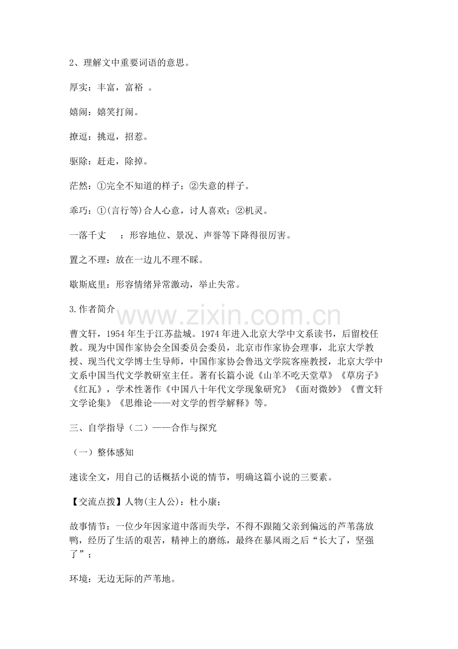 孤独之旅-教学设计.doc_第2页