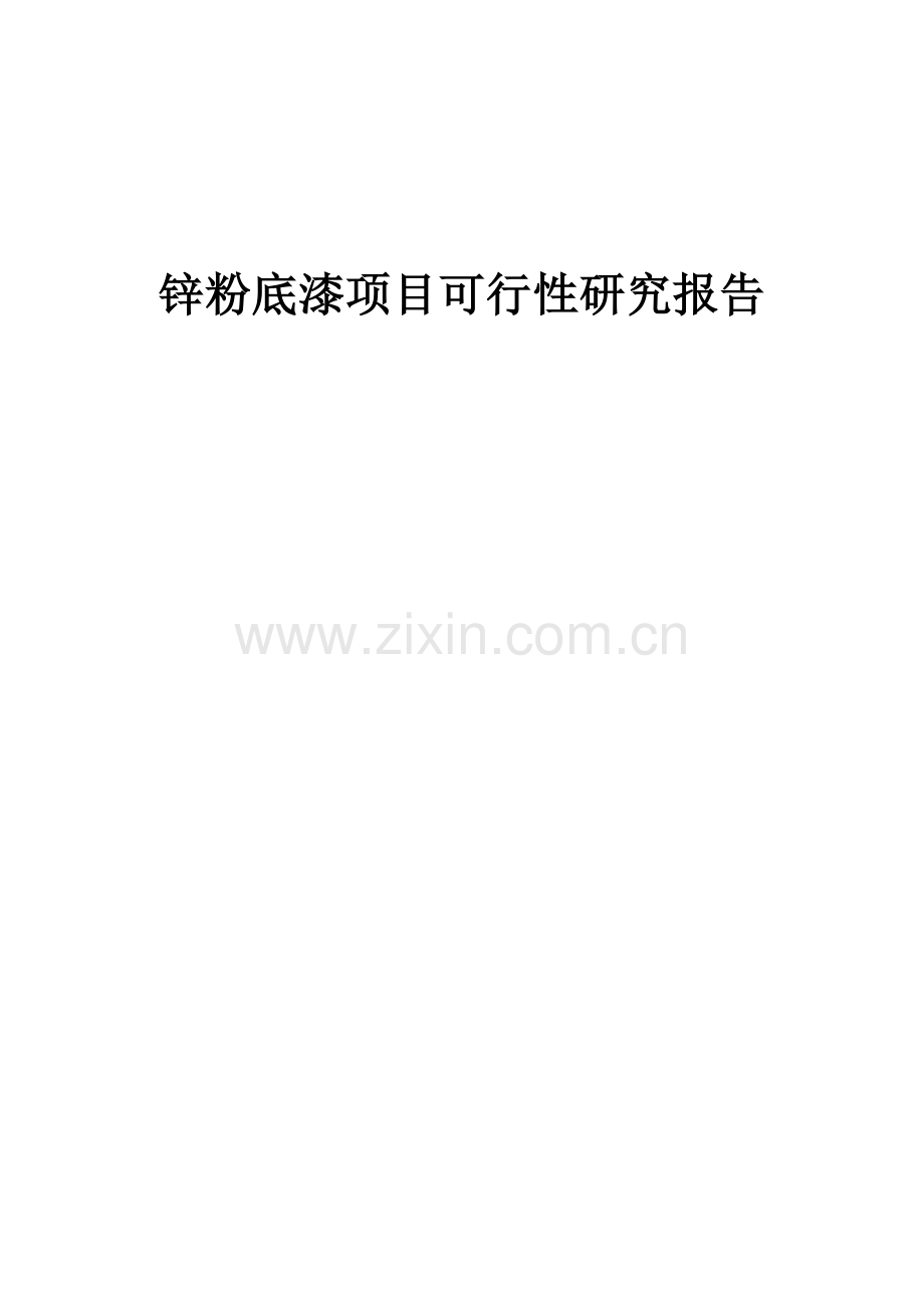 锌粉底漆项目可行性研究报告.docx_第1页