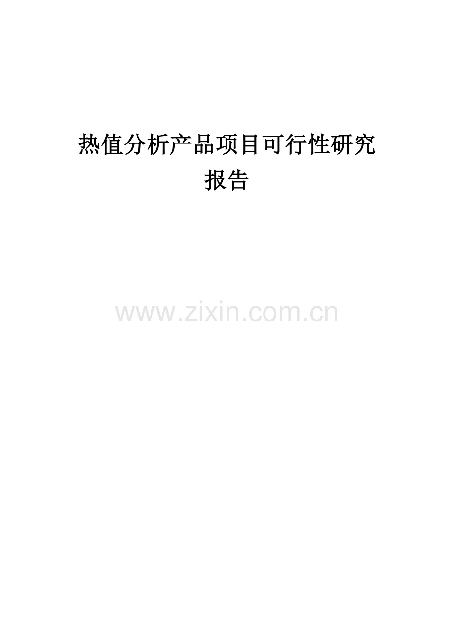 热值分析产品项目可行性研究报告.docx_第1页