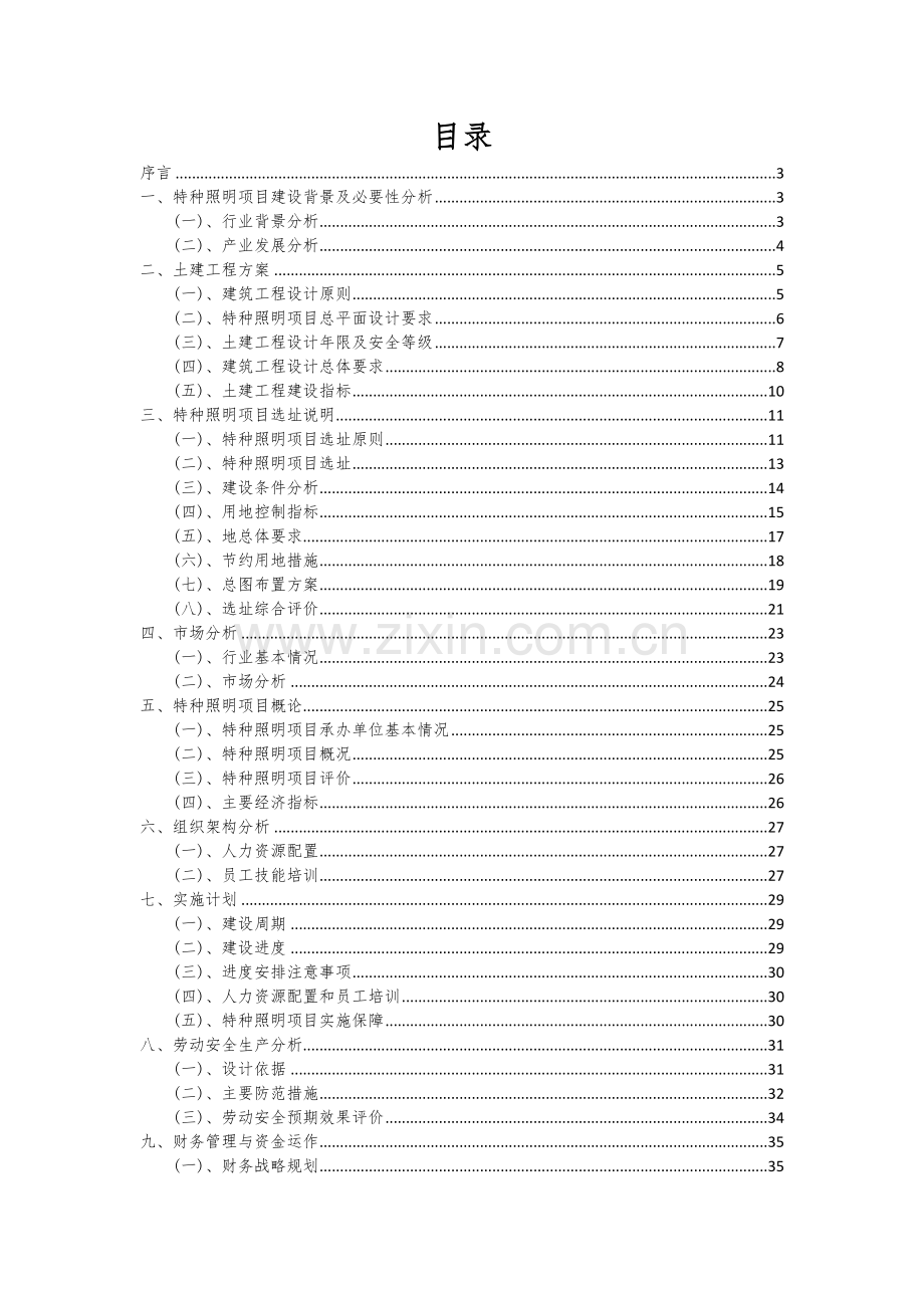 特种照明项目商业计划书.docx_第2页