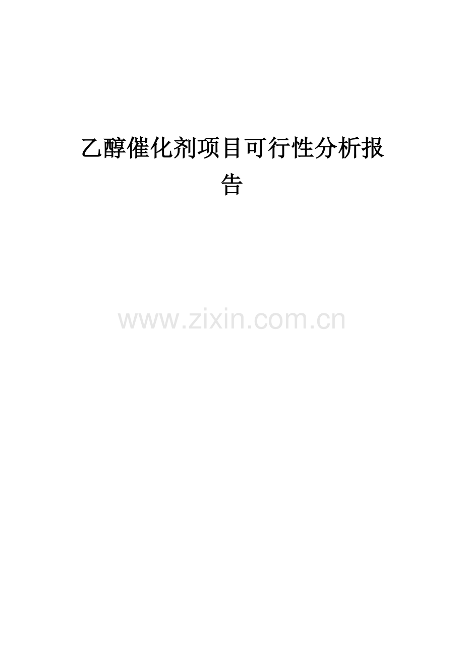 乙醇催化剂项目可行性分析报告.docx_第1页