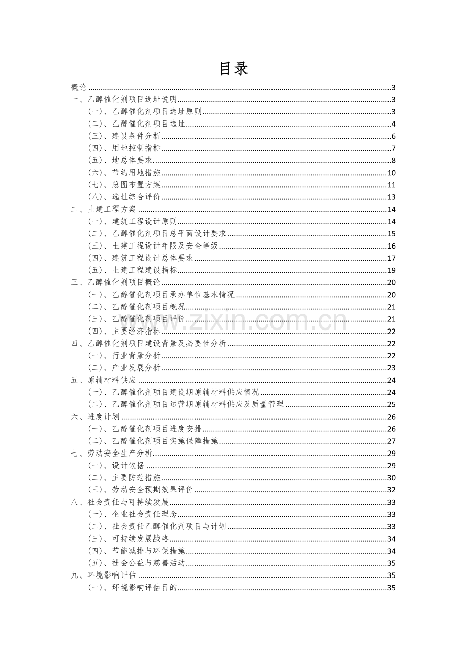 乙醇催化剂项目可行性分析报告.docx_第2页