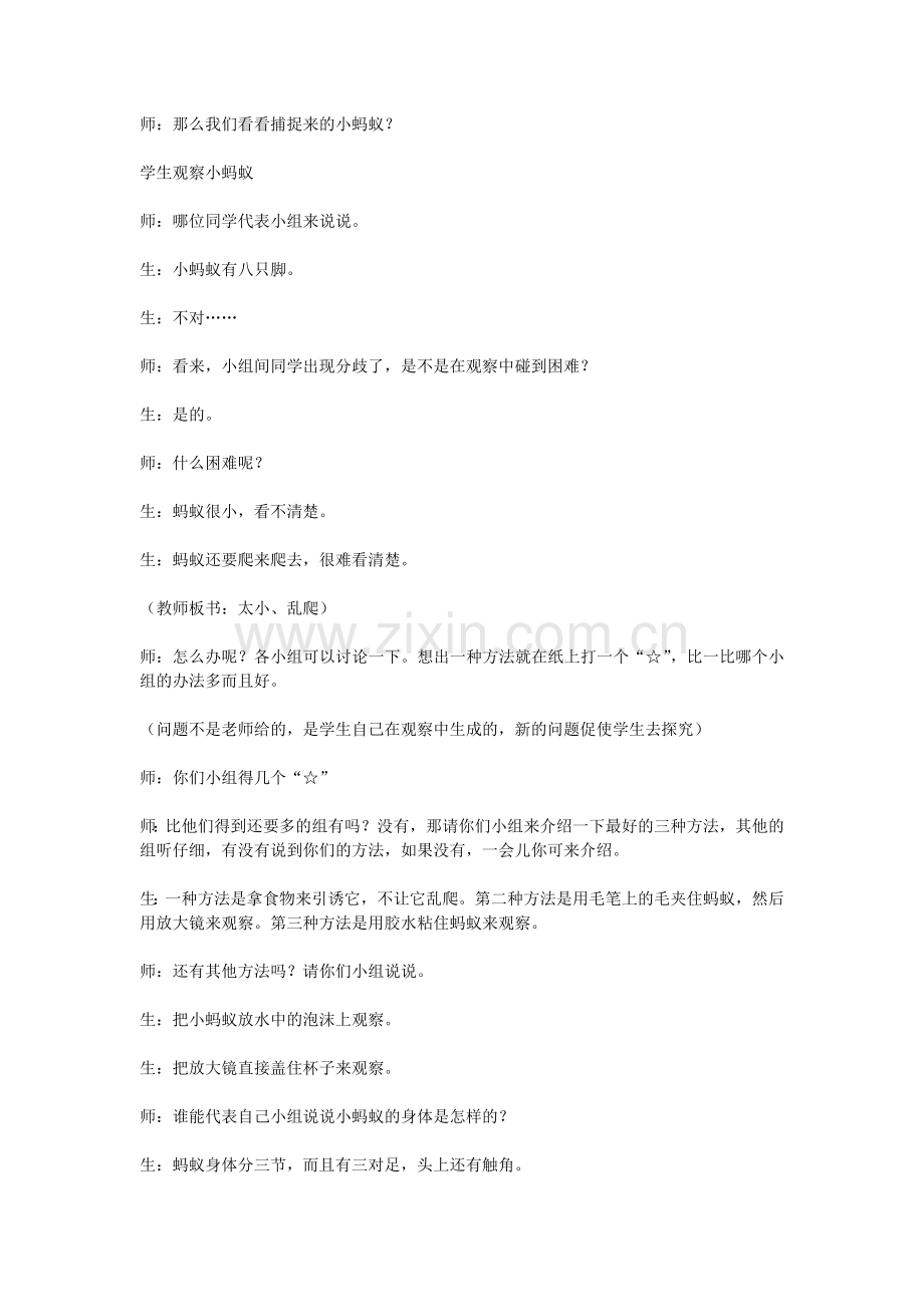 那中华《蚂蚁》教学设计.doc_第2页