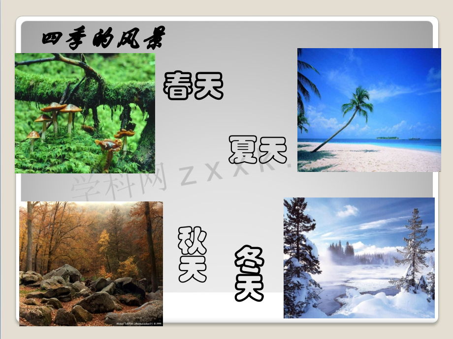 七年级语文上册第三单元第11课《春》课件新人教版.ppt_第1页