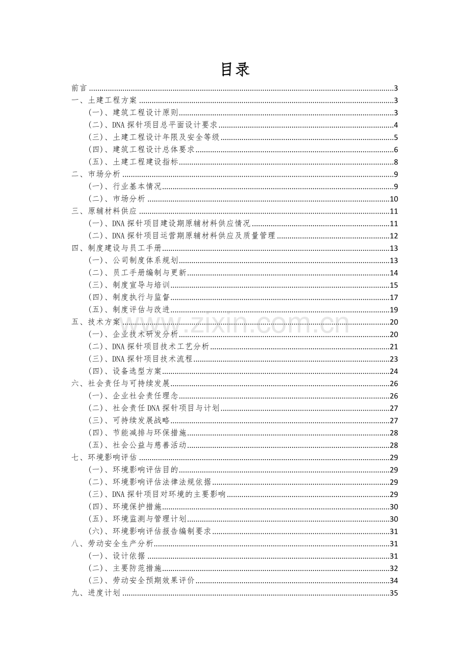 DNA探针项目投资分析及可行性报告.docx_第2页