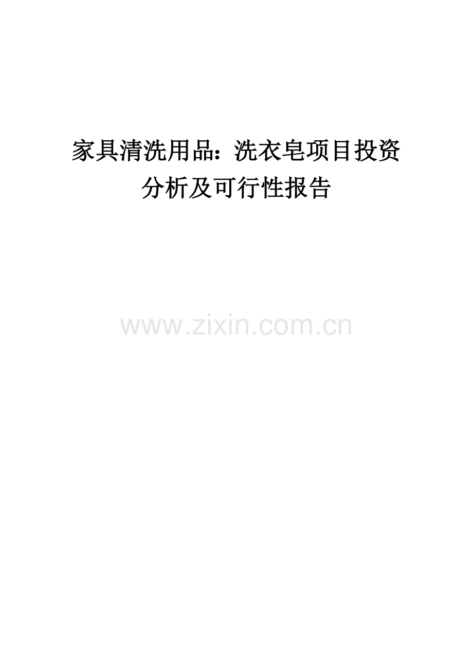 家具清洗用品：洗衣皂项目投资分析及可行性报告.docx_第1页