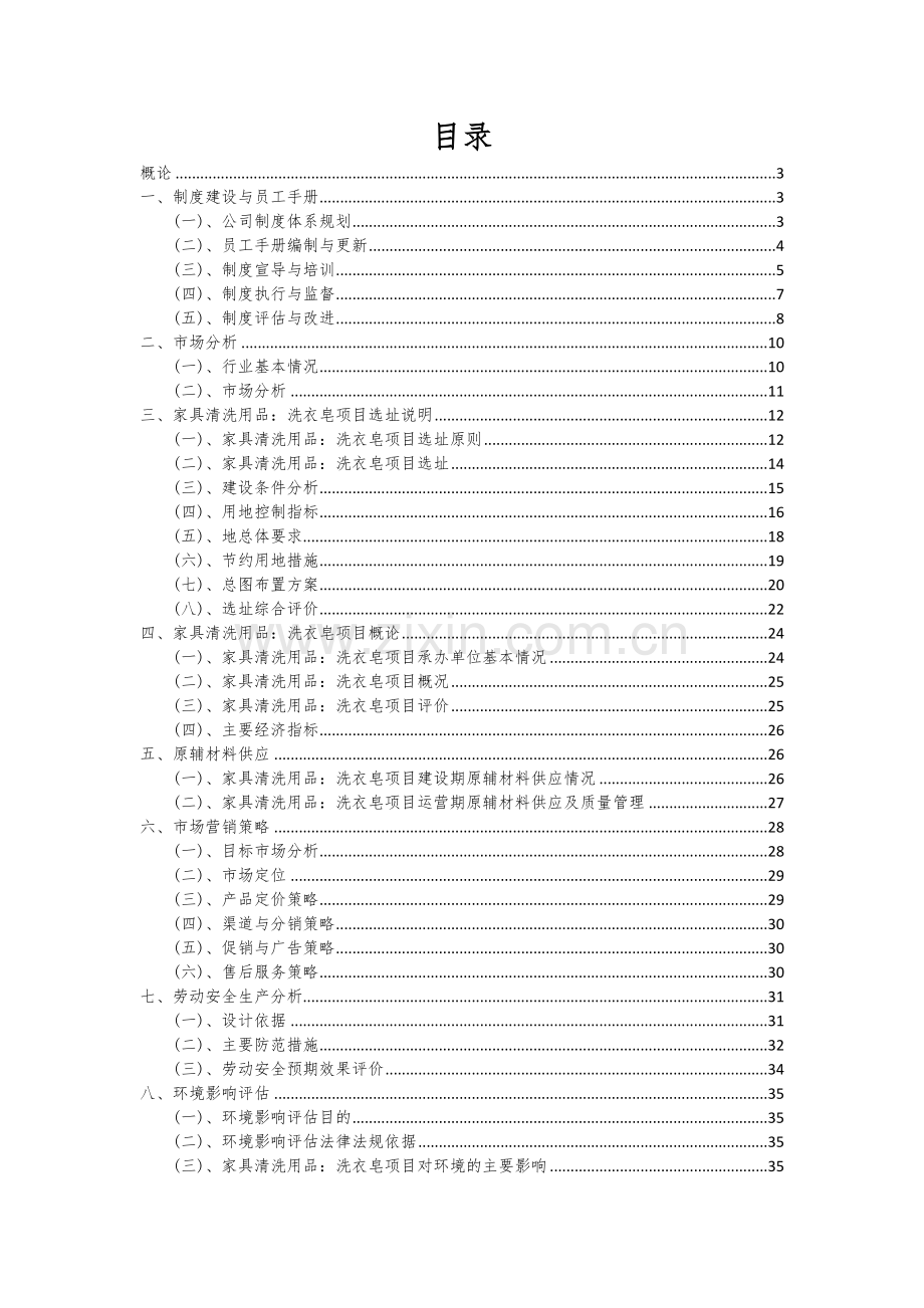 家具清洗用品：洗衣皂项目投资分析及可行性报告.docx_第2页