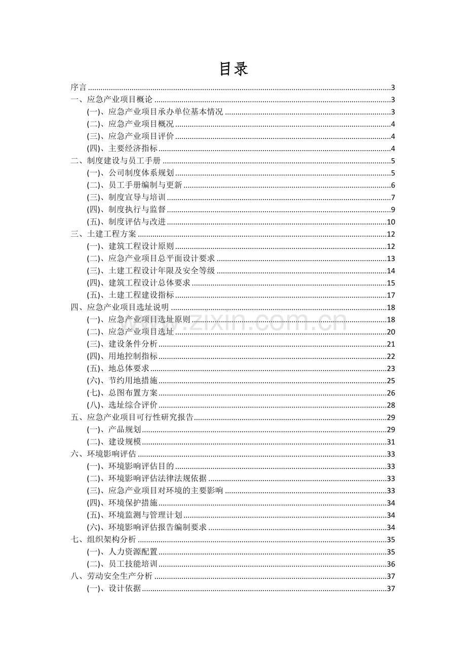 应急产业项目深度研究分析报告.docx_第2页