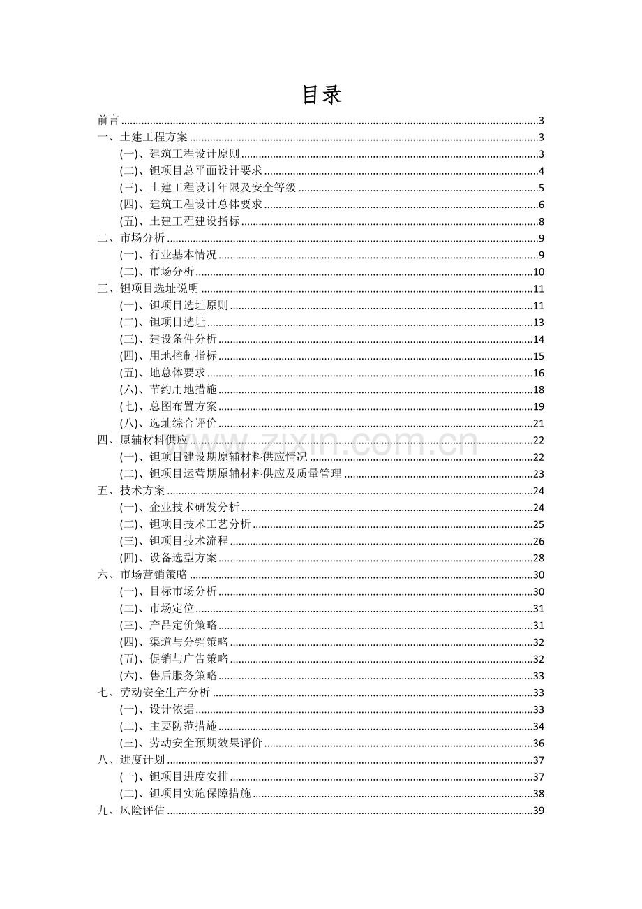 钽项目可行性分析报告.docx_第2页