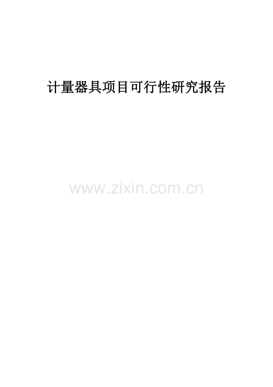 计量器具项目可行性研究报告.docx_第1页
