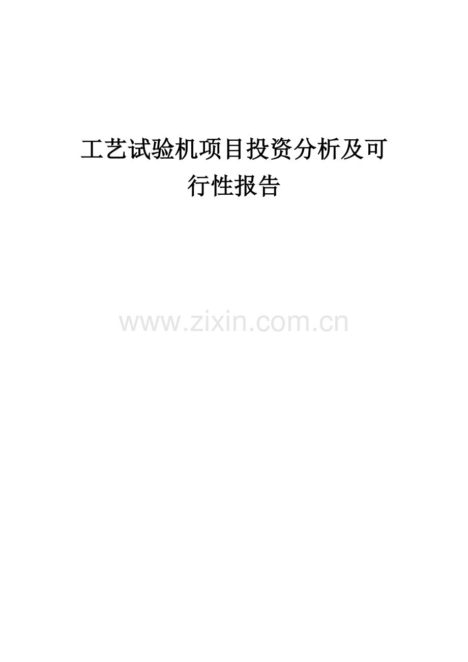 工艺试验机项目投资分析及可行性报告.docx_第1页