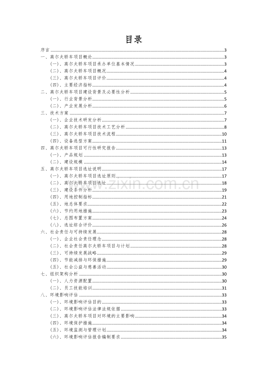 高尔夫轿车项目可行性研究报告.docx_第2页