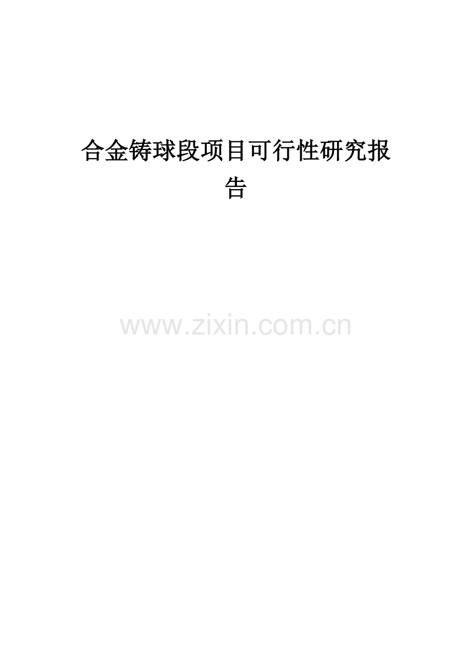 合金铸球段项目可行性研究报告.docx_第1页