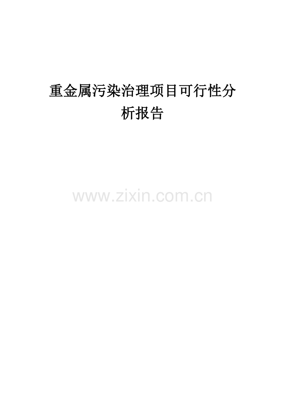 重金属污染治理项目可行性分析报告.docx_第1页