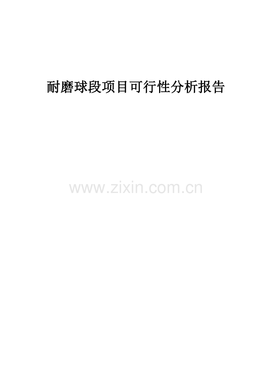 耐磨球段项目可行性分析报告.docx_第1页