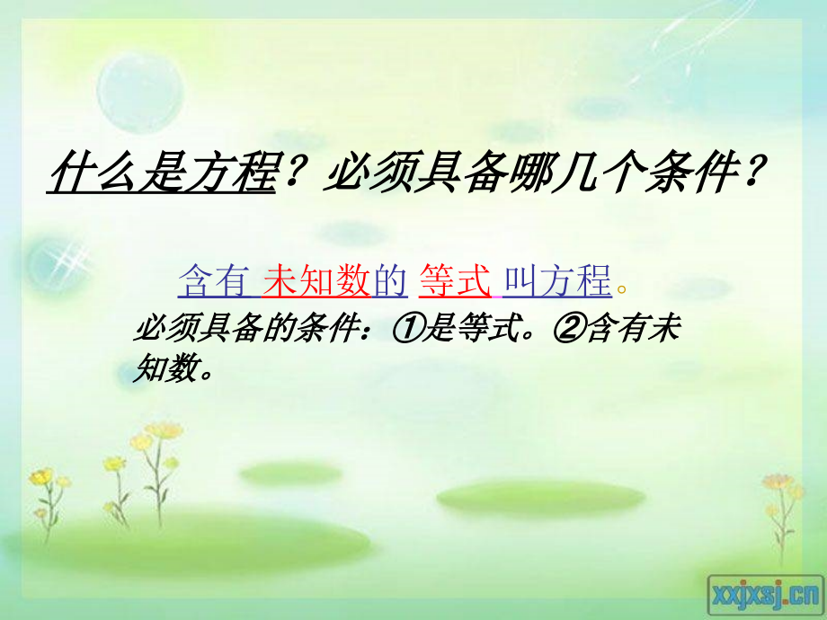 (五上)等式的基本性质_.ppt_第2页