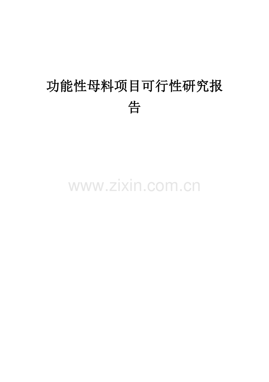 功能性母料项目可行性研究报告.docx_第1页