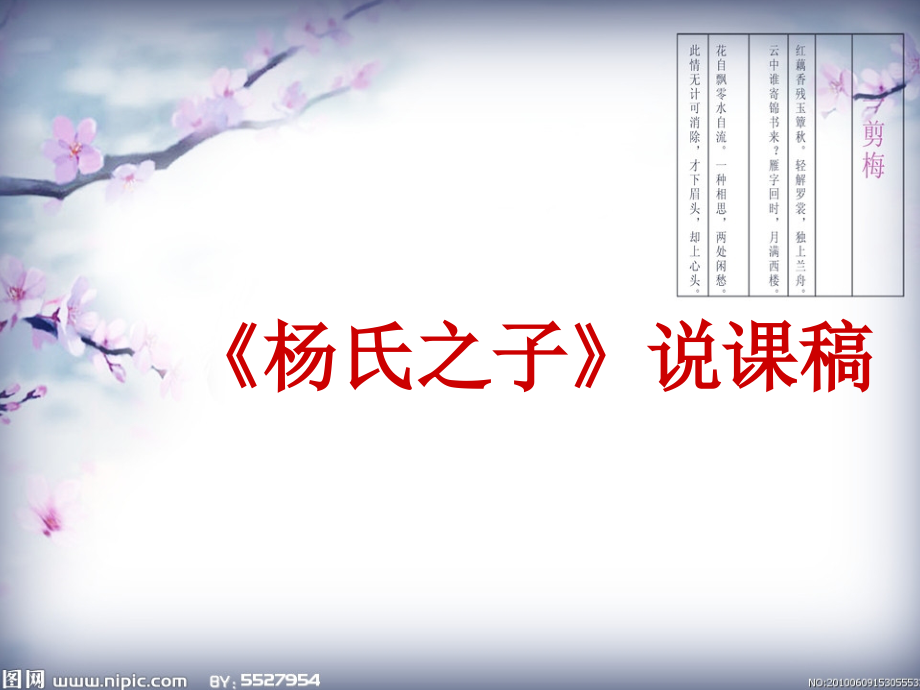 杨氏之子-说课稿.ppt_第1页