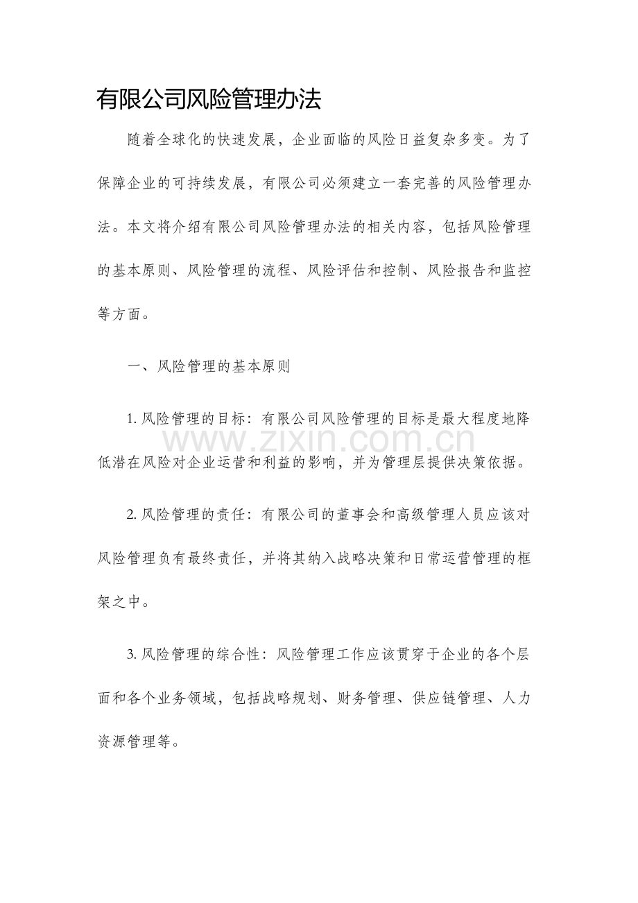 有限公司风险管理办法..docx_第1页
