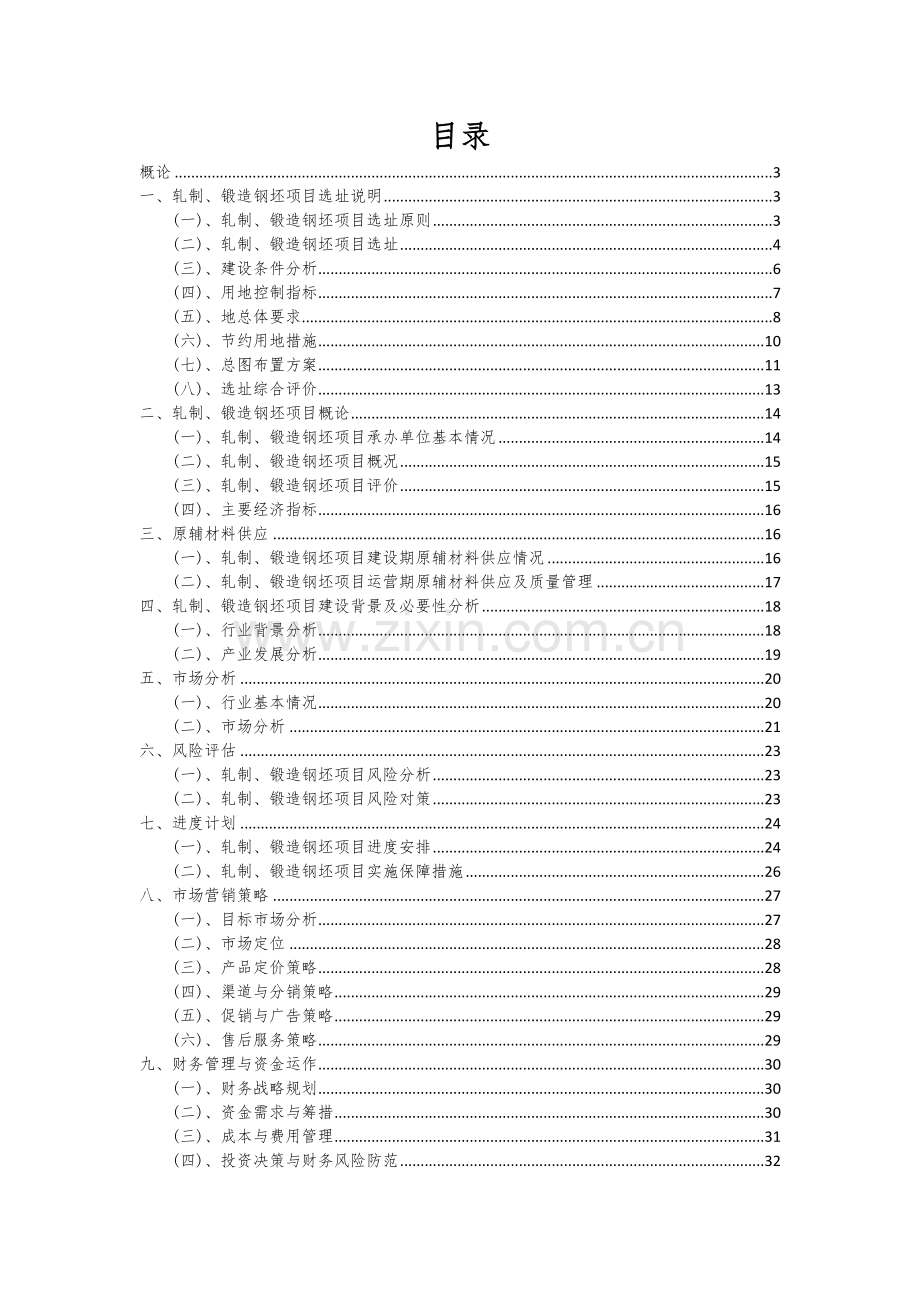轧制、锻造钢坯项目可行性研究报告.docx_第2页