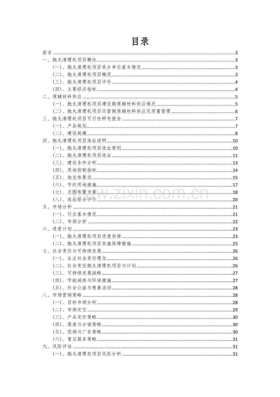 抛丸清理机项目商业计划书.docx_第2页