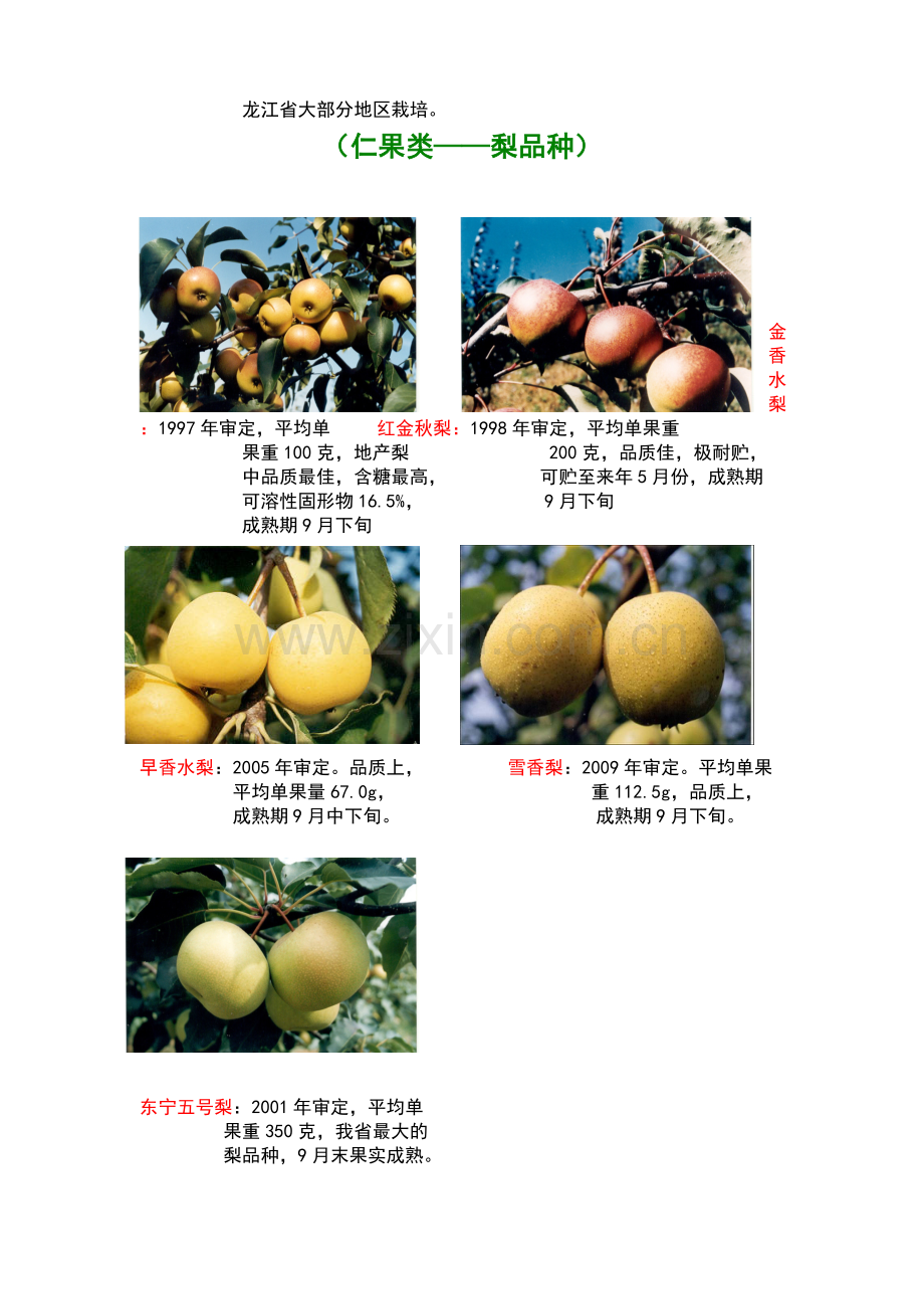 果树品种照片.doc_第2页