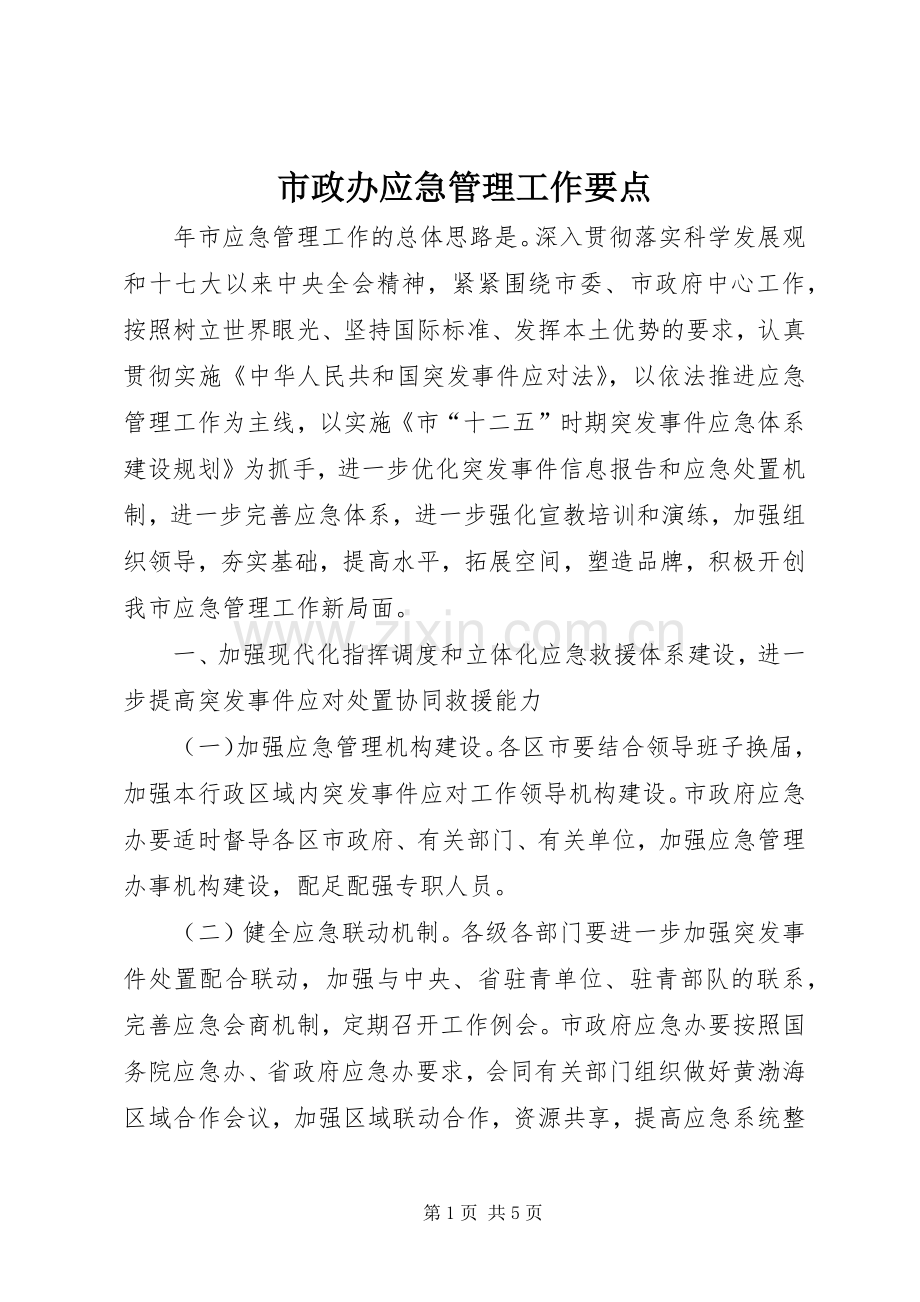 市政办应急管理工作要点.docx_第1页