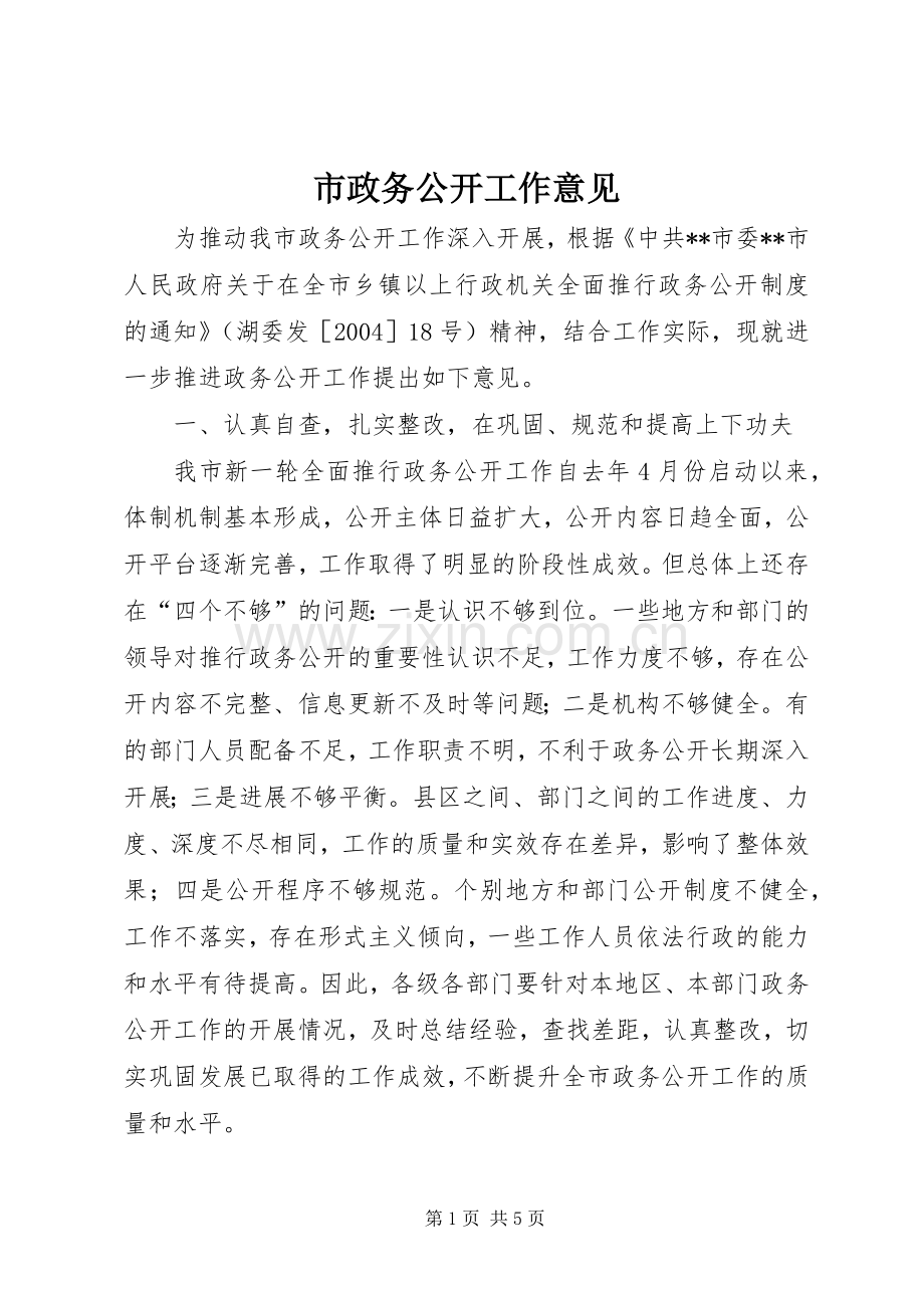市政务公开工作意见.docx_第1页