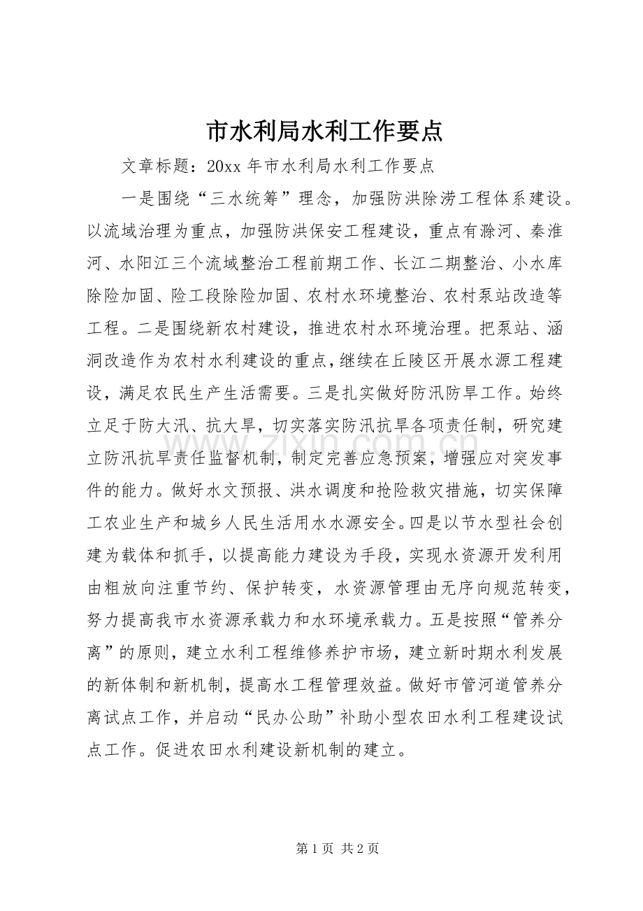 市水利局水利工作要点.docx_第1页