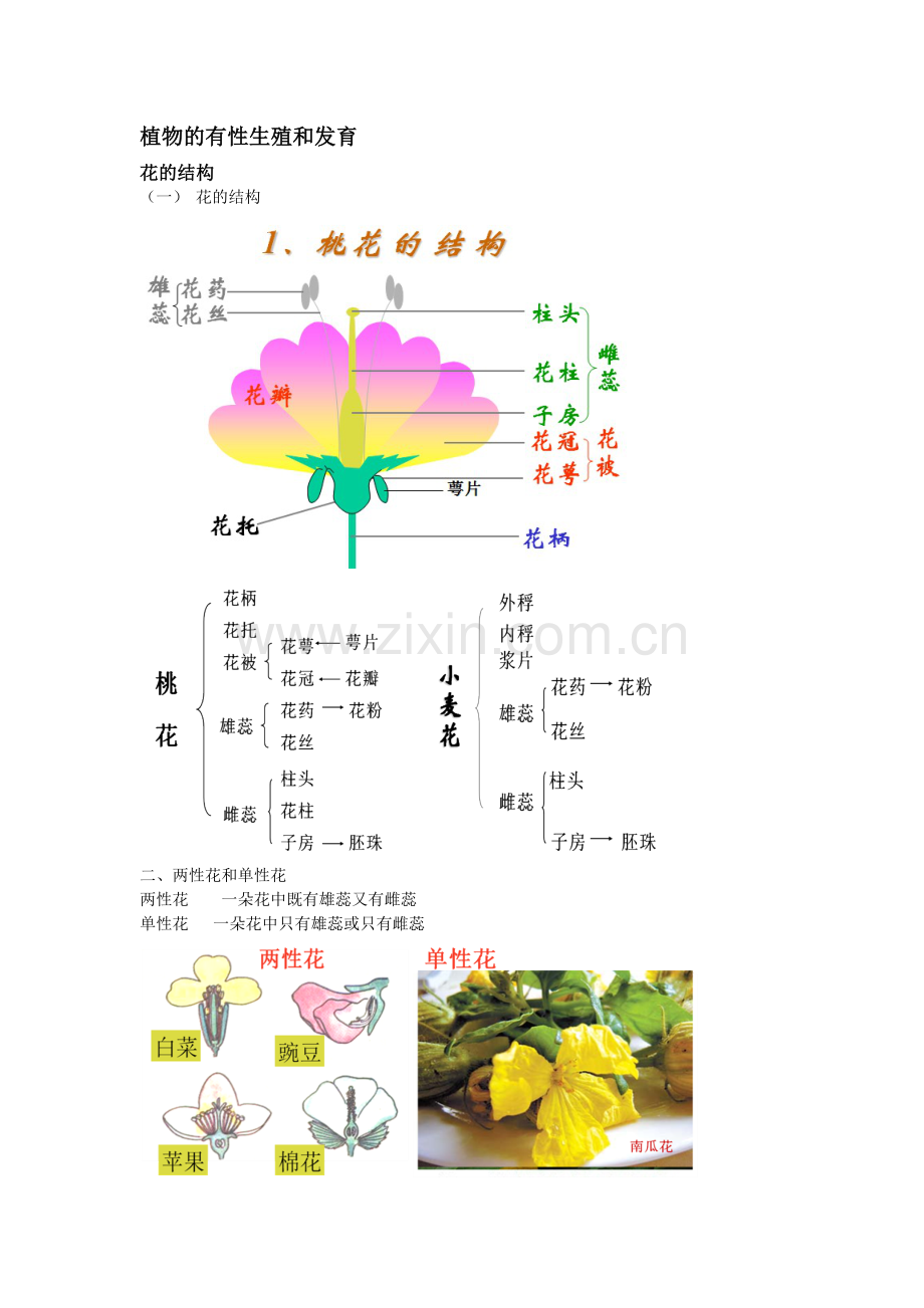 植物的有性繁殖.doc_第1页