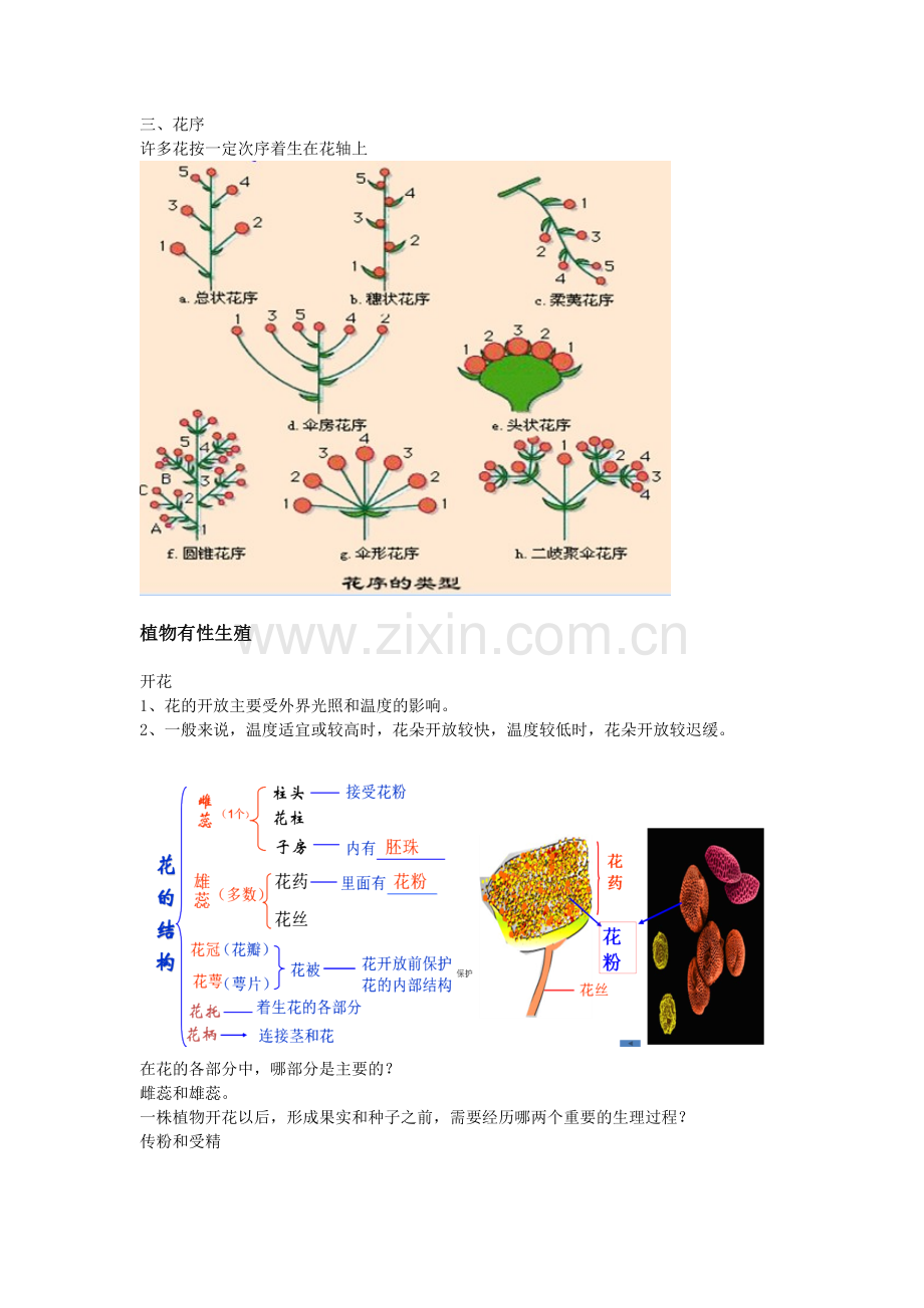 植物的有性繁殖.doc_第2页