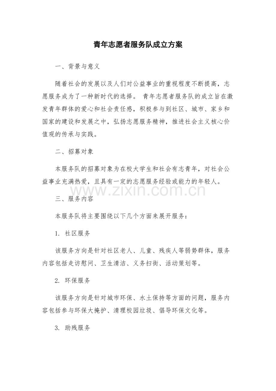 青年志愿者服务队成立方案.docx_第1页
