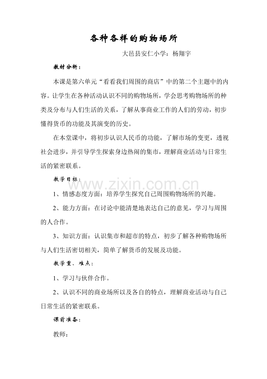 各种各样的购物场所(教案).doc_第1页