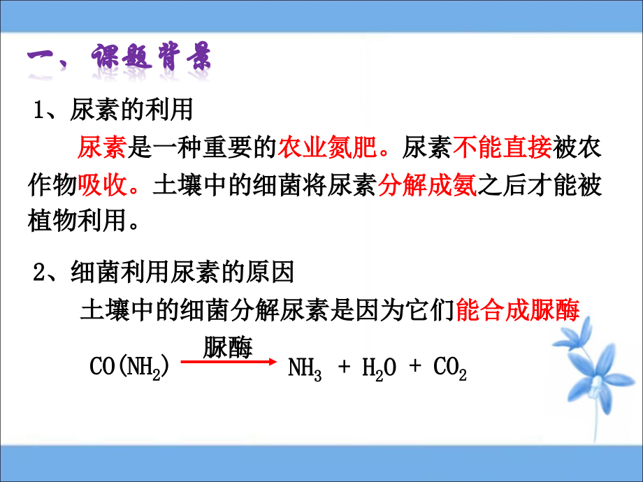 《土壤中分解尿素的细菌的分离与计数》参考课件.ppt_第2页