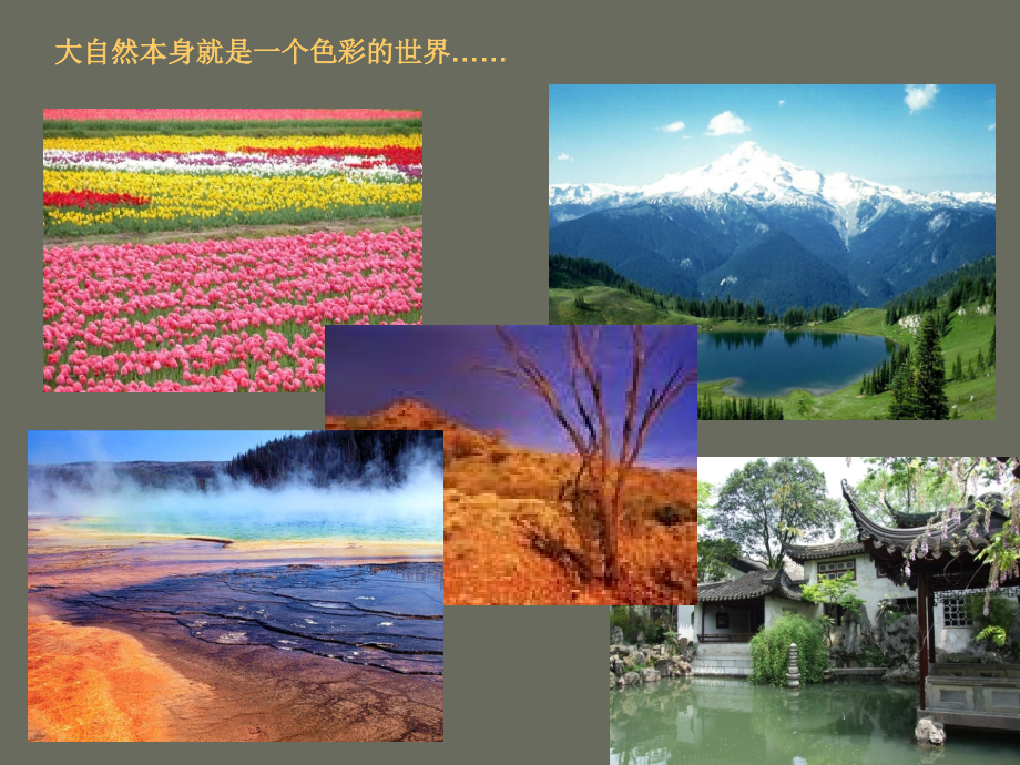 色彩心理实验.ppt_第2页