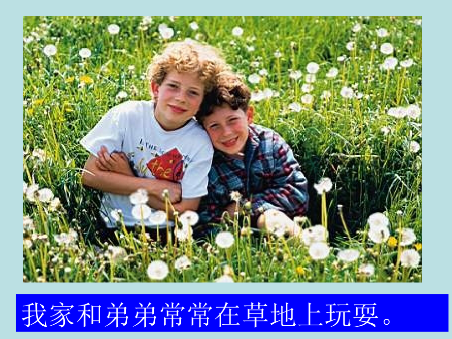 小学语文三年级课件-金色的草地.ppt_第2页