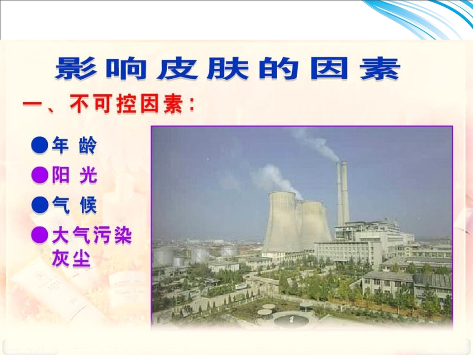 皮肤的分类及护理(用).ppt_第2页