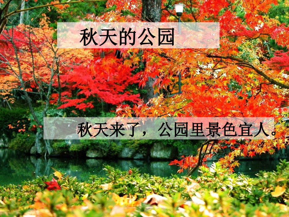 秋天的公园新版.ppt_第1页