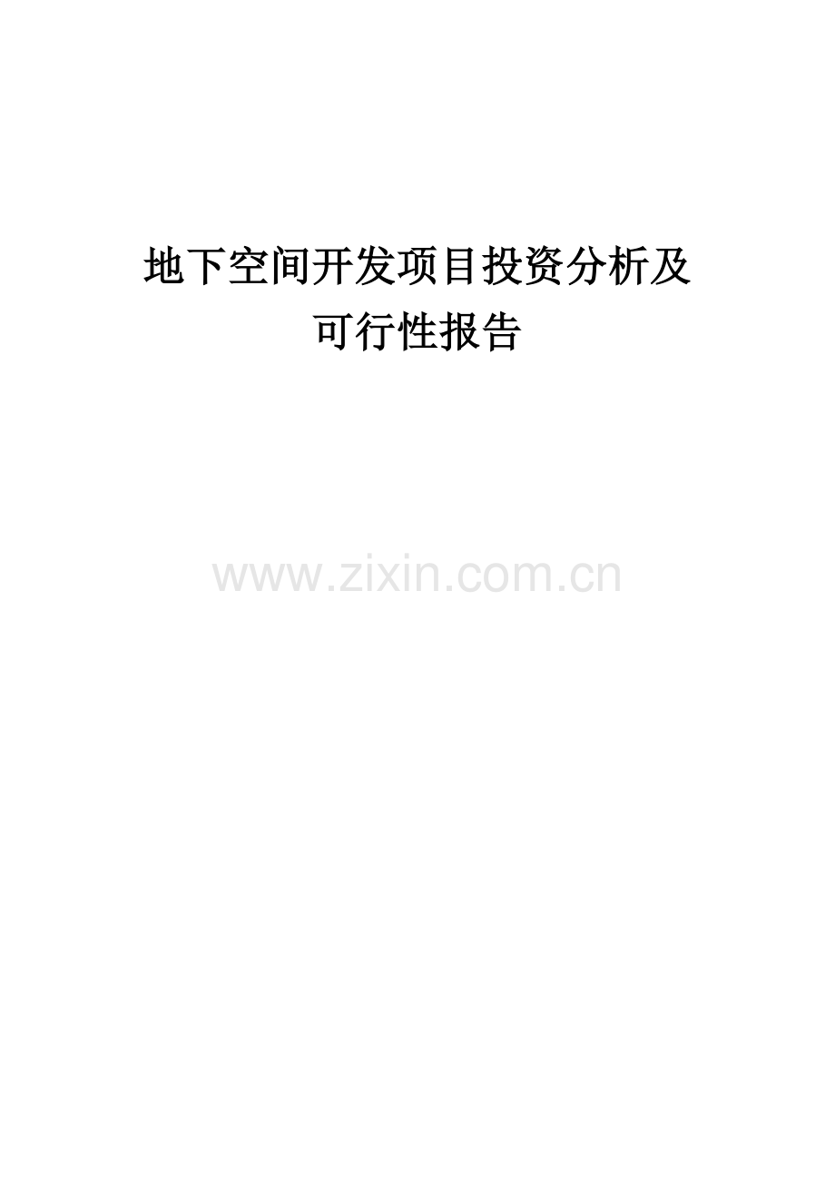 地下空间开发项目投资分析及可行性报告.docx_第1页