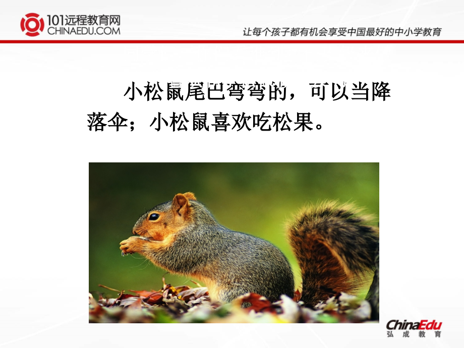 人教新课标版小学一下10松鼠和松果课件1.ppt_第2页
