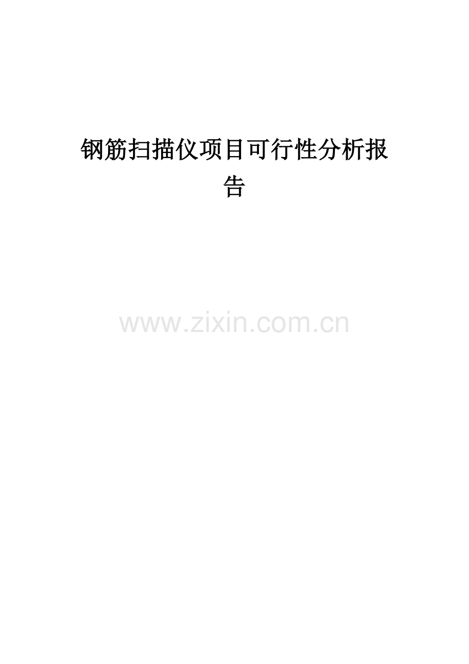 钢筋扫描仪项目可行性分析报告.docx_第1页