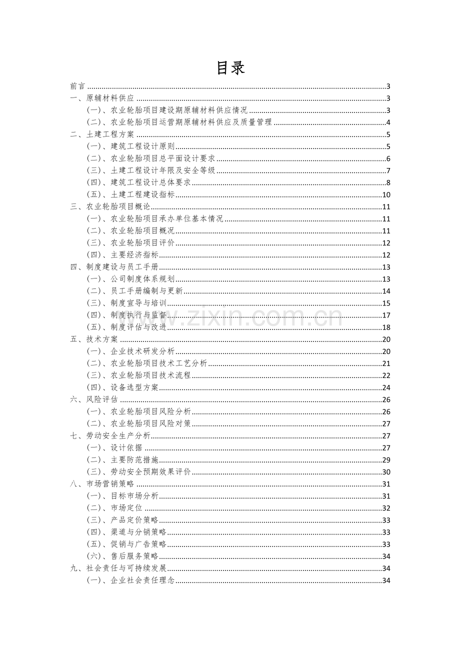 农业轮胎项目商业计划书.docx_第2页